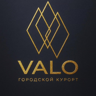 Статистика Дзен VALO Hotel City отель Петербург