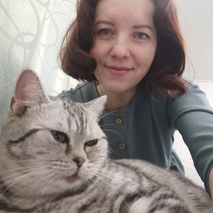 Статистика Дзен Галина Ива