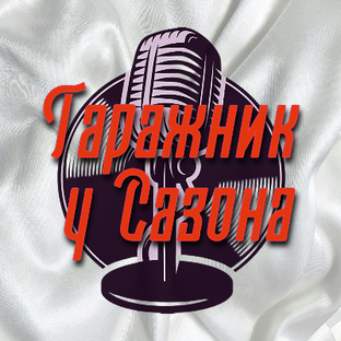 Статистика Дзен Гаражник у Сазона 🎙