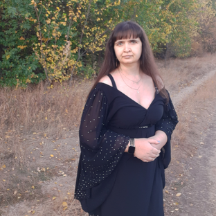 Статистика Дзен Екатерина Ломанцова