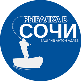 Статистика Дзен Рыбалка в Сочи