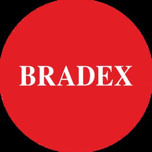 Статистика Дзен BRADEX