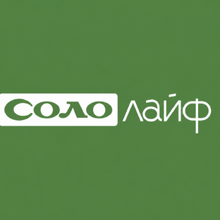 Статистика Дзен Соло Лайф