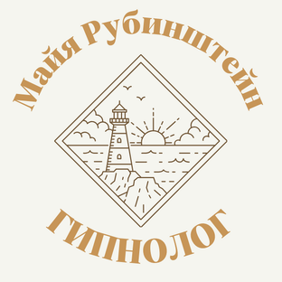 Статистика Дзен hypnoseance.ru