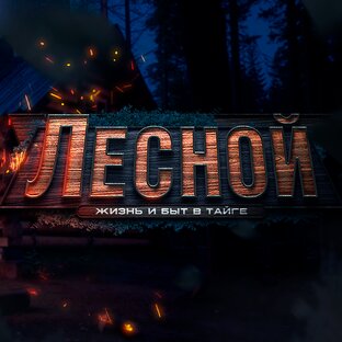 Статистика Дзен -ЛЕСНОЙ-