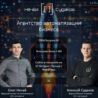 Статистика Дзен Агентство автоматизации бизнеса "Нечай и Судаков"