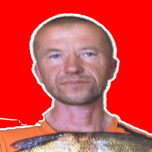 Статистика Дзен ДМИТРИЙ БУТОРОВ