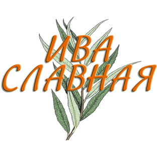 Статистика Дзен ИВА СЛАВНАЯ