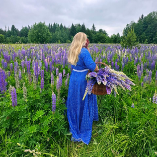 Статистика Дзен SavUlia
