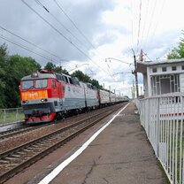 Polo t-shirt uniform. одежда белые ночи. одежда белые ночи. форма сотрудников. одежда белые ночи.