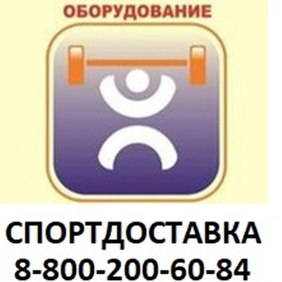 Статистика Дзен Спортдоставка спортивный супермаркет 8-800-200-60-84