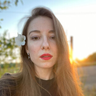 Статистика Дзен Svetlana Chirkina