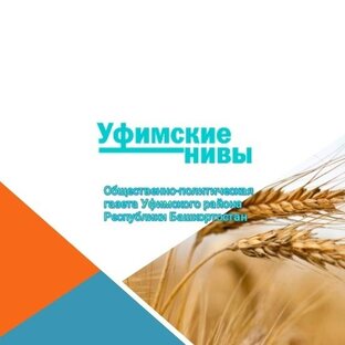 Статистика Дзен Уфимские нивы