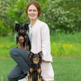 Дзен Алсу Шакирьянова статистика