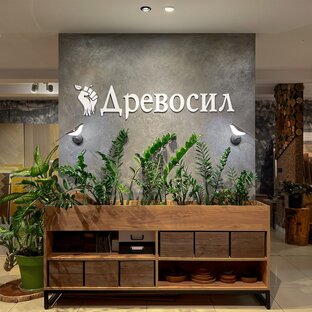 Статистика Дзен Древосил