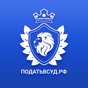 Статистика Дзен Податьвсуд.РФ