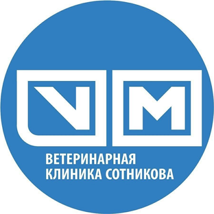 Статистика Дзен Ветклиника Сотникова