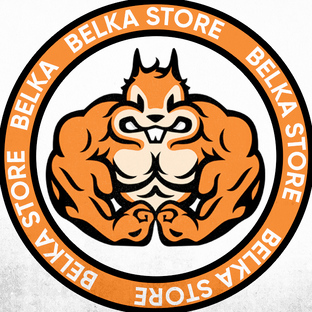 Статистика Дзен Belka.Store — Про спортивное питание