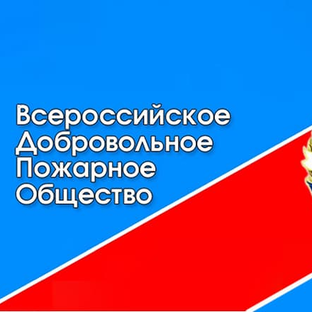 Статистика Дзен Сотрудник ВДПО