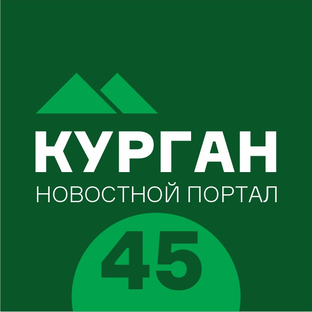 Статистика Дзен Новости Курган45