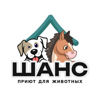 Дзен Саша Булаткина / Приют для бездомных животных "Шанс" Г. Волгоград статистика