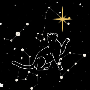 Статистика Дзен AstroКот | Астрология, ба-цзы, фэншуй ✨🐈