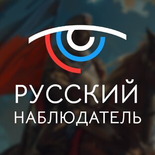 Статистика Дзен Русский наблюдатель