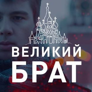 Статистика Дзен Великий Брат