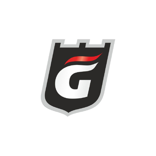 Статистика Дзен Golfstream ® / Гольфстрим