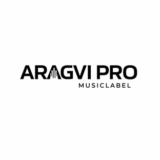 Статистика Дзен Aragvi Pro musiclabel
