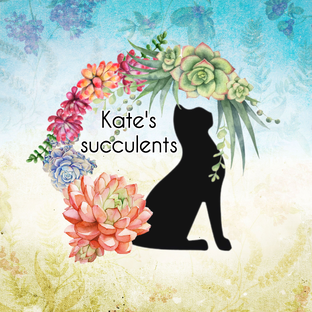 Статистика Дзен Kate's succulents