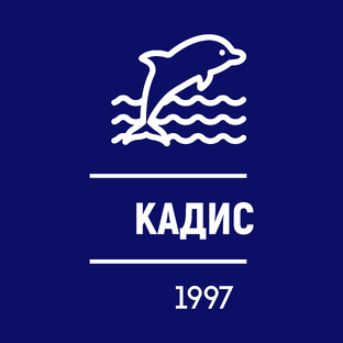 Статистика Дзен КАДИС - Бухгалтерия I Аудит I Курсы I Кадры