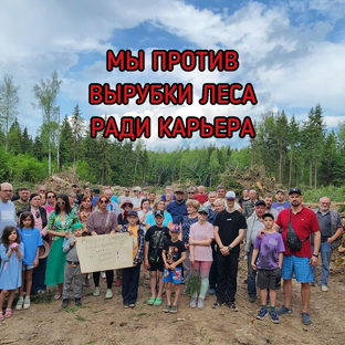 Статистика Дзен НЕТ карьеру РЕДЬКИНО-2