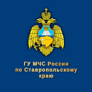 Статистика Дзен  МЧС Ставрополья