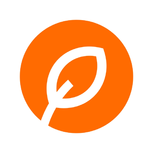 Статистика Дзен BETALIFE