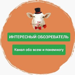 Дзен Интересный обозреватель статистика