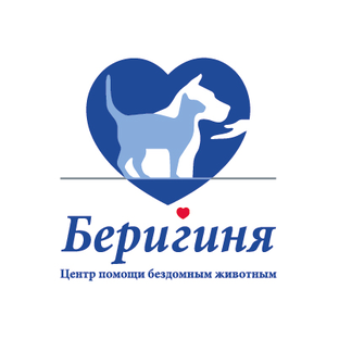Статистика Дзен "Беригиня" - центр помощи бездомным животным