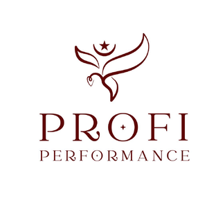 Статистика Дзен Profi Performance |Профи Перформанс