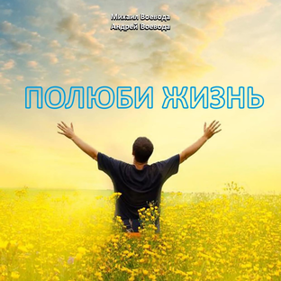 Статистика Дзен Полюби Жизнь