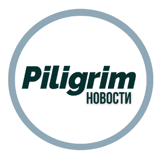 Статистика Дзен Пилигрим новости