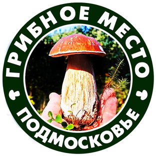 Статистика Дзен ГРИБНОЕ МЕСТО - Дневник грибника Подмосковья