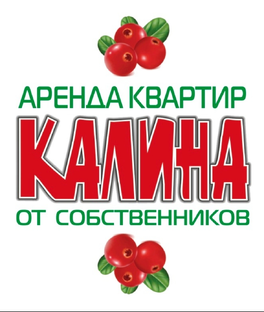Статистика Дзен kalina_yurga