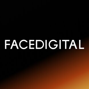 Статистика Дзен FACEDIGITAL