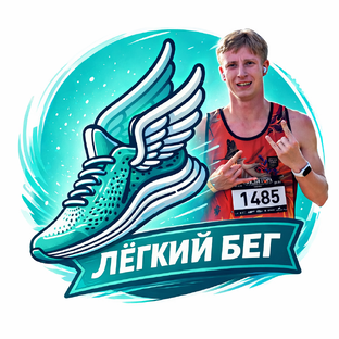 Статистика Дзен Легкий бег|Платонов Федор