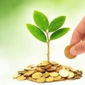 Дзен Моя экономия статистика