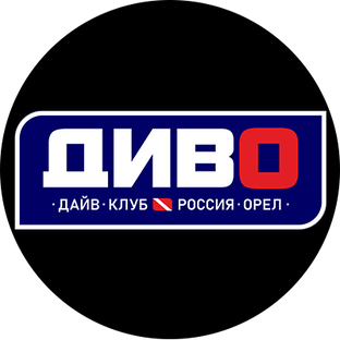 Статистика Дзен Клуб подводного плавания ДИВО