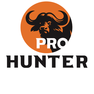 Статистика Дзен ProHunter
