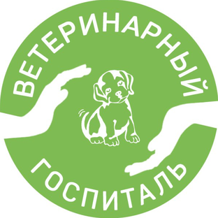 Статистика Дзен Ветеринарный госпиталь