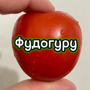 Статистика Дзен Фудогуру