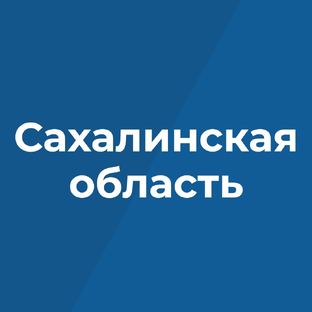 Статистика Дзен Правительство Сахалинской Области